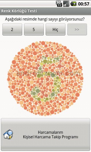 Color Blindness Test